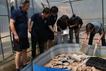 长安大学赴陕西商南“青春聚力智慧农业·科技赋能乡村振兴”暑期社会实践队全体成员开