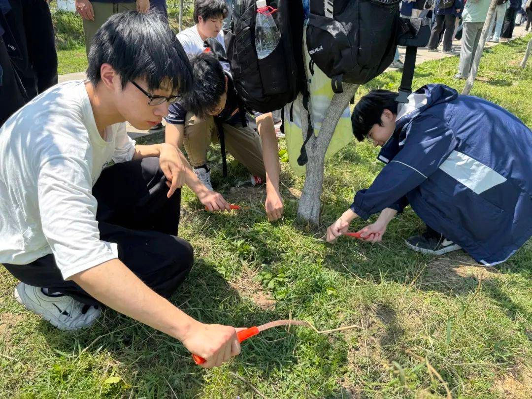 深信院2026年春季“匠心筑梦·能创未来”校园技能文化节暨专业技能实践活动纪实